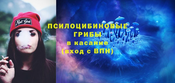 индика Абдулино