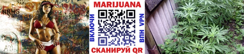 Канабис OG Kush  купить наркотик  Александровск-Сахалинский 
